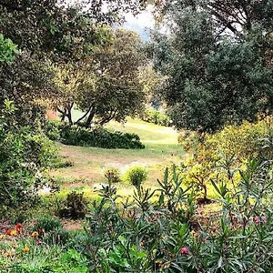 Farm Gli Oleandri Loiri Porto San Paolo